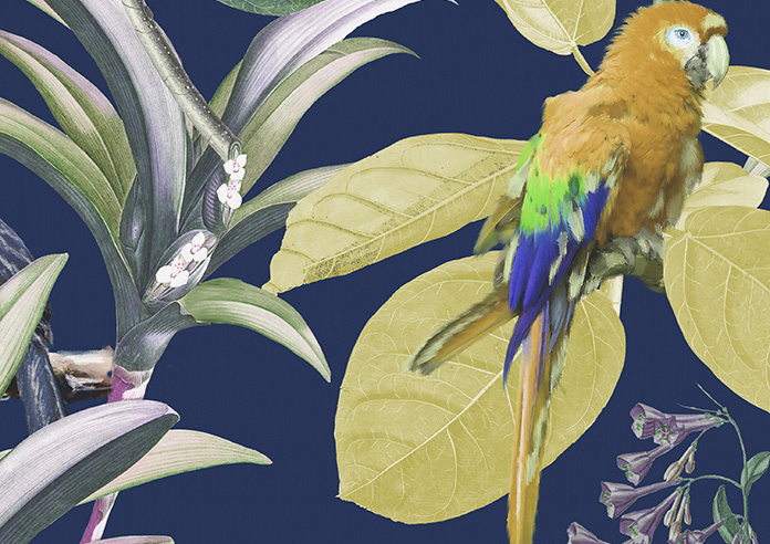 Parrot, Mangrove - Twist&Fit Roller Blind - Image 6